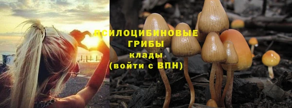 винт Вяземский