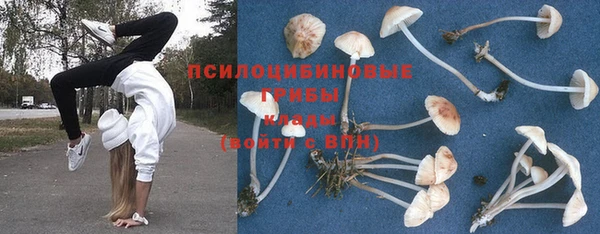 винт Вязники