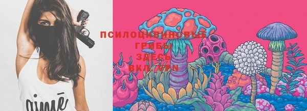 прущая мука Вязьма